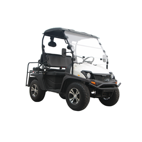 5KW Electric UTV EEC Electric Cart